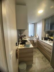Stars Of Kovan (D19), Apartment #577668741